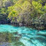 Weeki Wachee Springs State Park