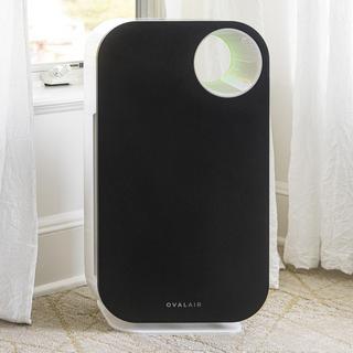 3-Stage H13 True HEPA 5-in-1 Air Purifier for Room