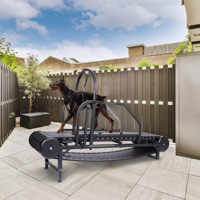 Dog Treadmill for Large/Medium Dogs with Brake, Adjustable Ramp Dog Slatmill with Pedometer, for Exercise & Healthy & Fit Pet Life, Used Indoor Home Treadmill for Dogs