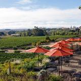 Wine Tasting!!