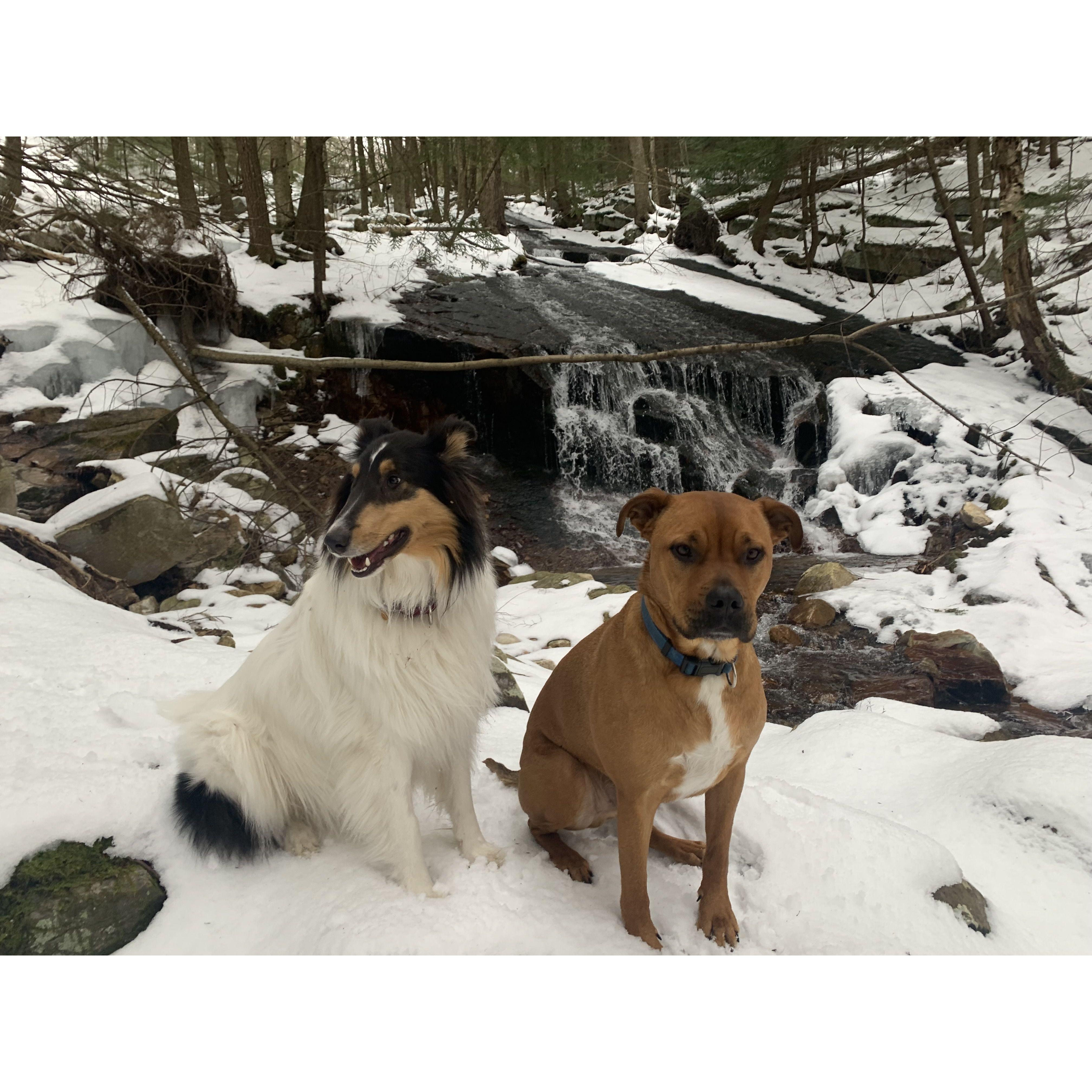 Manchester, VT