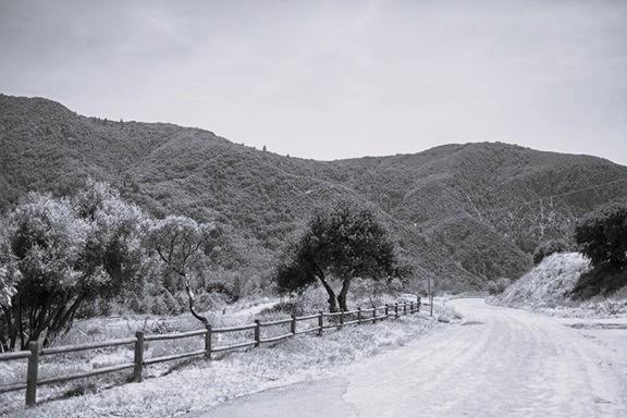 The Wedding Website of Ashley Williamson and Abraham Barton