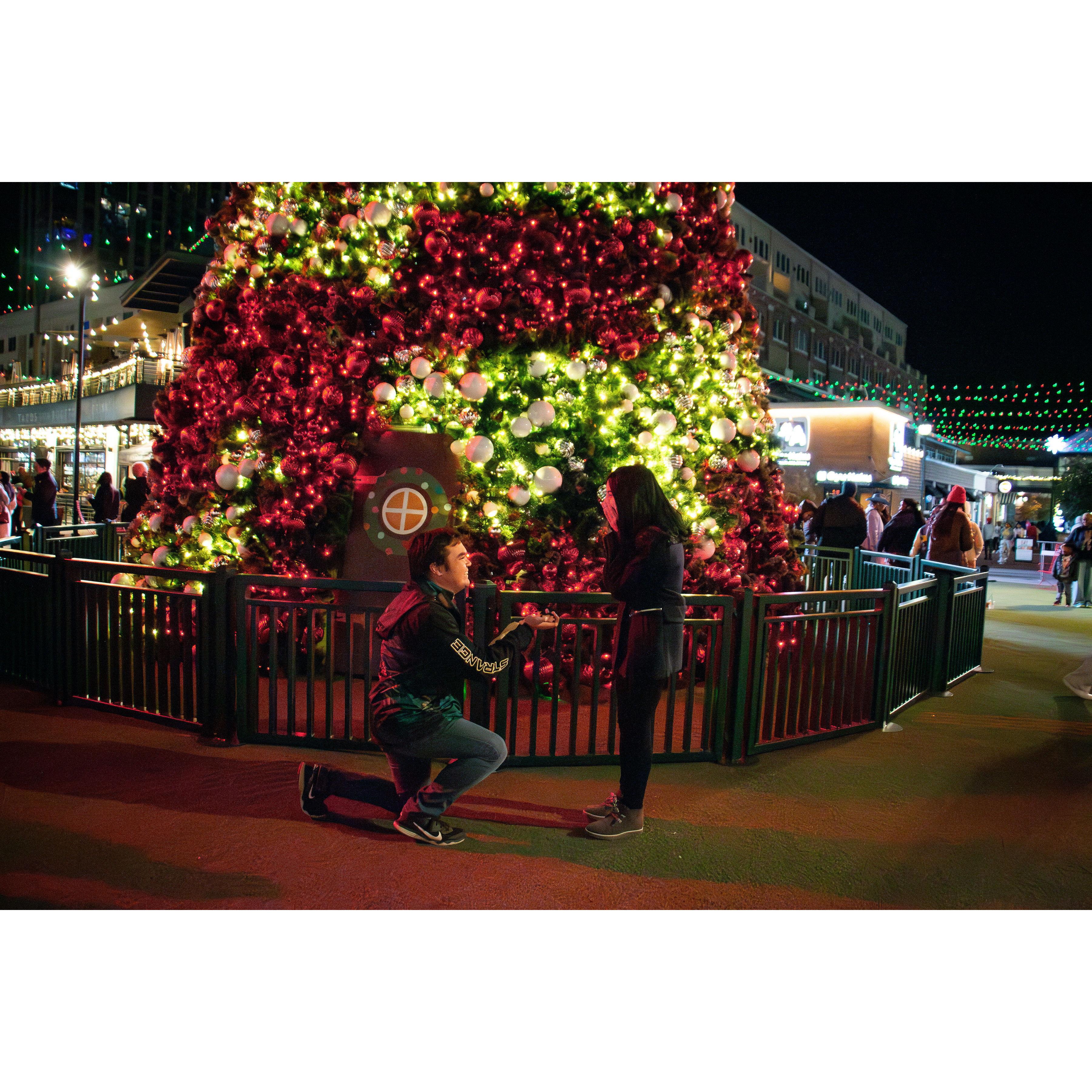 Christmas Tree at Atlantic Station: November 23rd, 2024