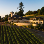Willamette Valley Vineyards