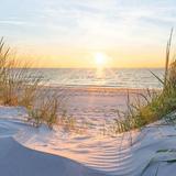 Road Trip to Oak Island