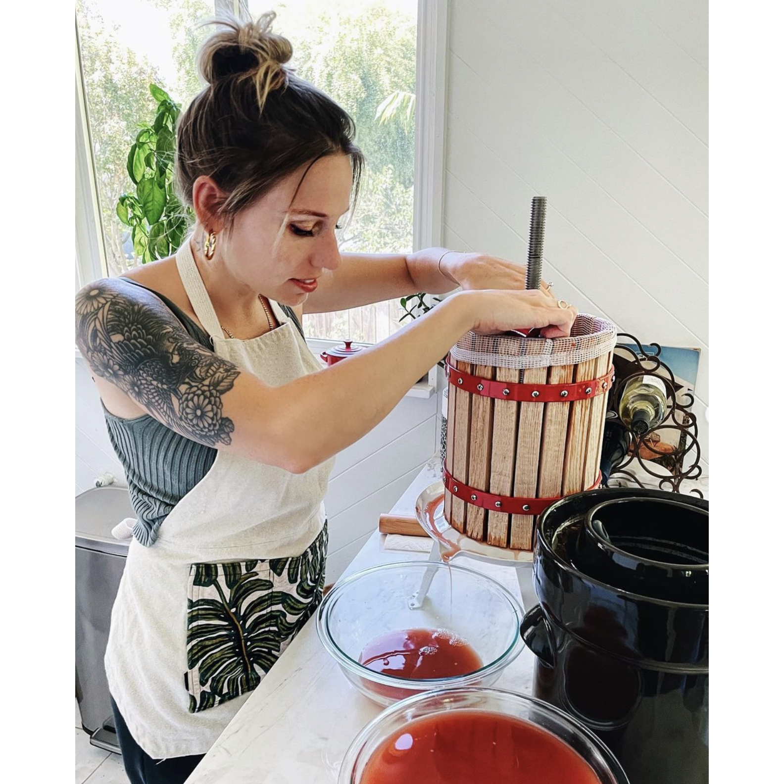Making plum wine from our San Fransisco plum trees