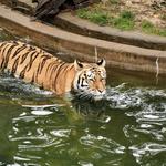 Smithsonian National Zoological Park