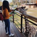 Fresno Chaffee Zoo