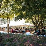Baiting Hollow Farm Vineyard