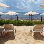 Visit Reef Coco Beach