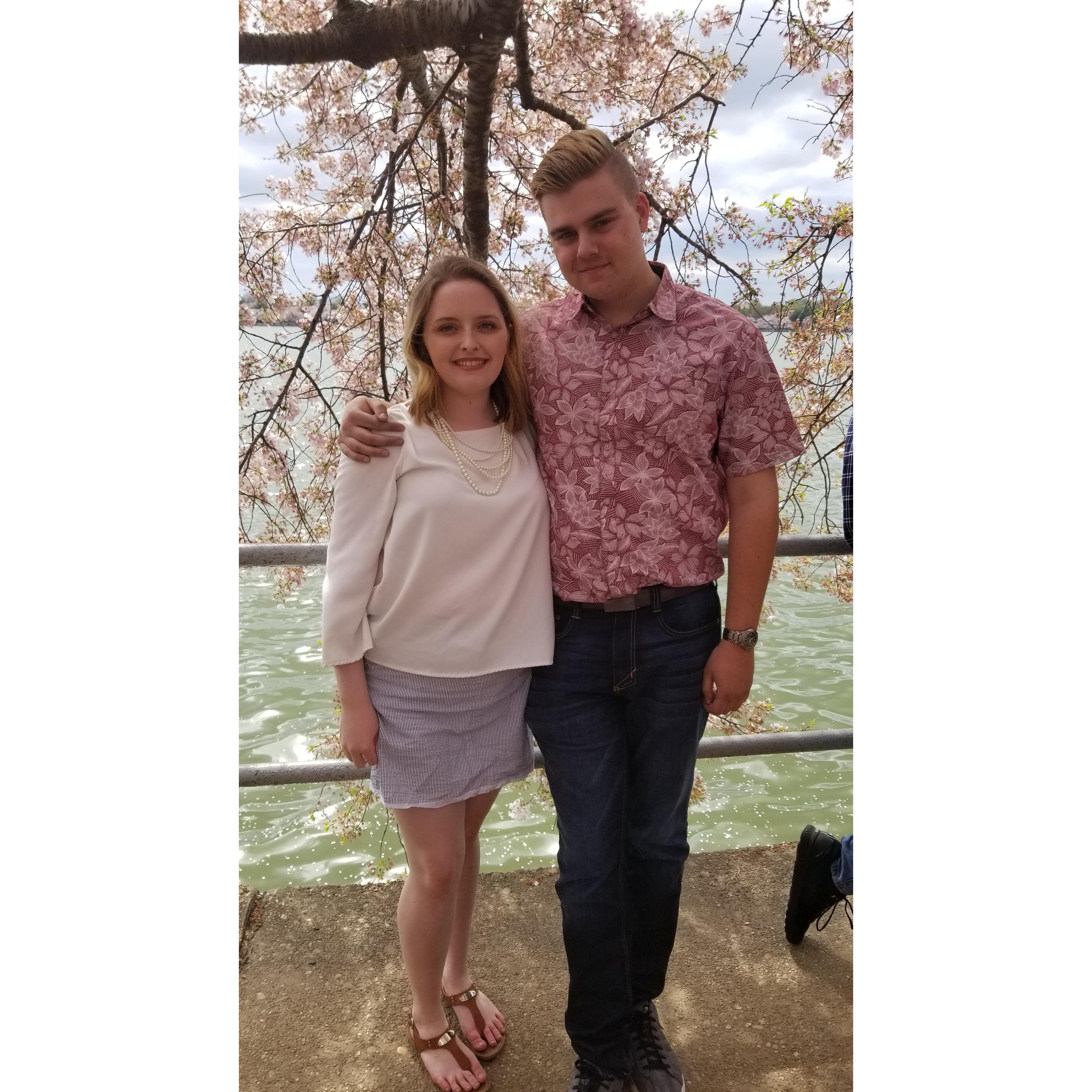 The Cherry Blossom Festival Spring 2019.