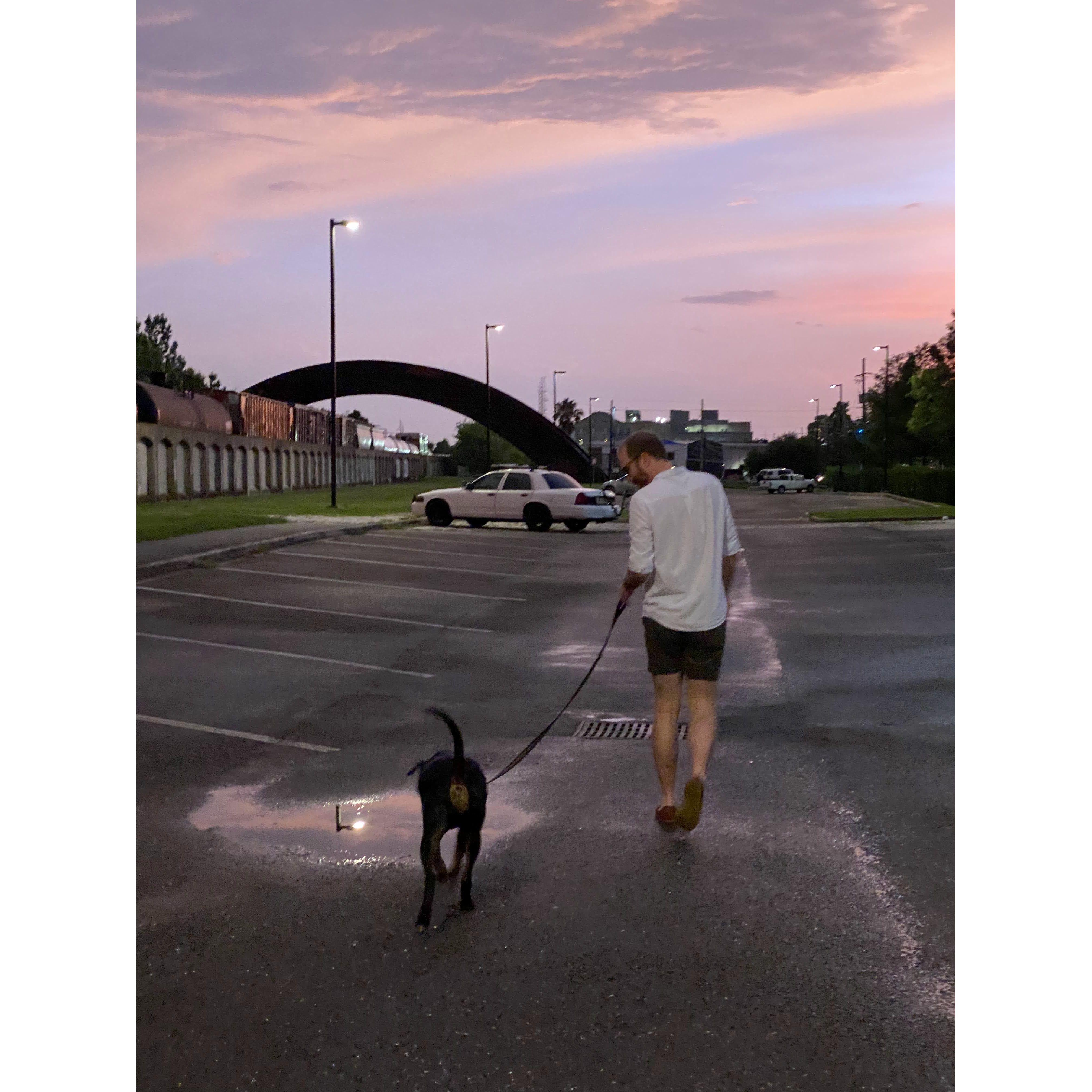 Dog sitting for Fisher!