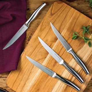 X Steak 4-Piece Knife Set
