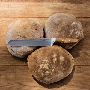 WÜSTHOF Amici 9" Double-Serrated Bread Knife