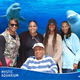 Mystic Aquarium