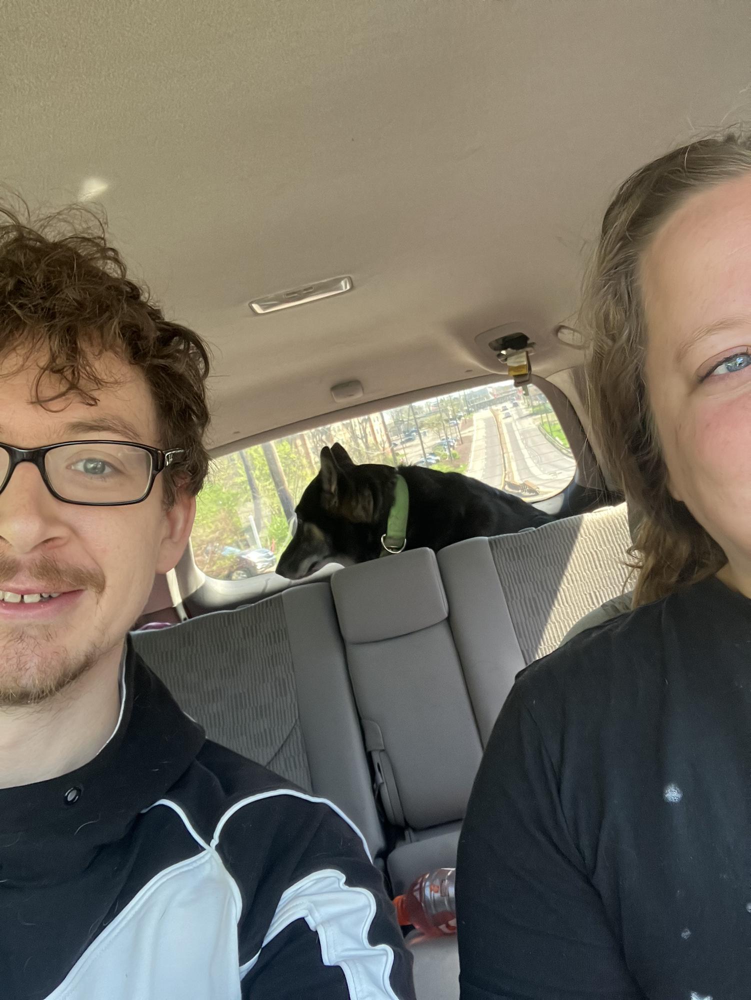Our first road trip with Jeannie! She was very well behaved. Pittsburgh, PA. April 2023.