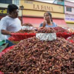 Mercado Juarez & Mercado 20 de Noviembre