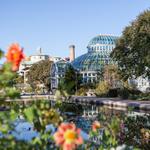 Brooklyn Botanic Garden