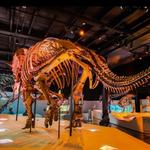 Houston Museum of Natural Science
