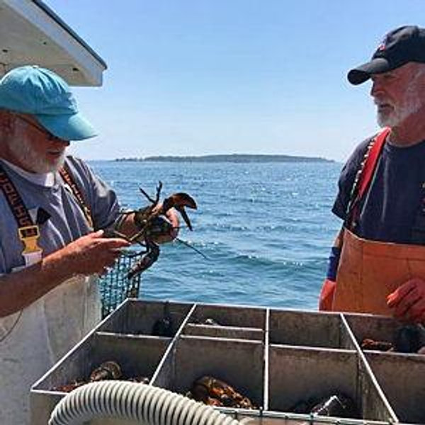 Honeymoon Fund - Lobster Boat Tour