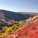 Cowiche Canyon Trail