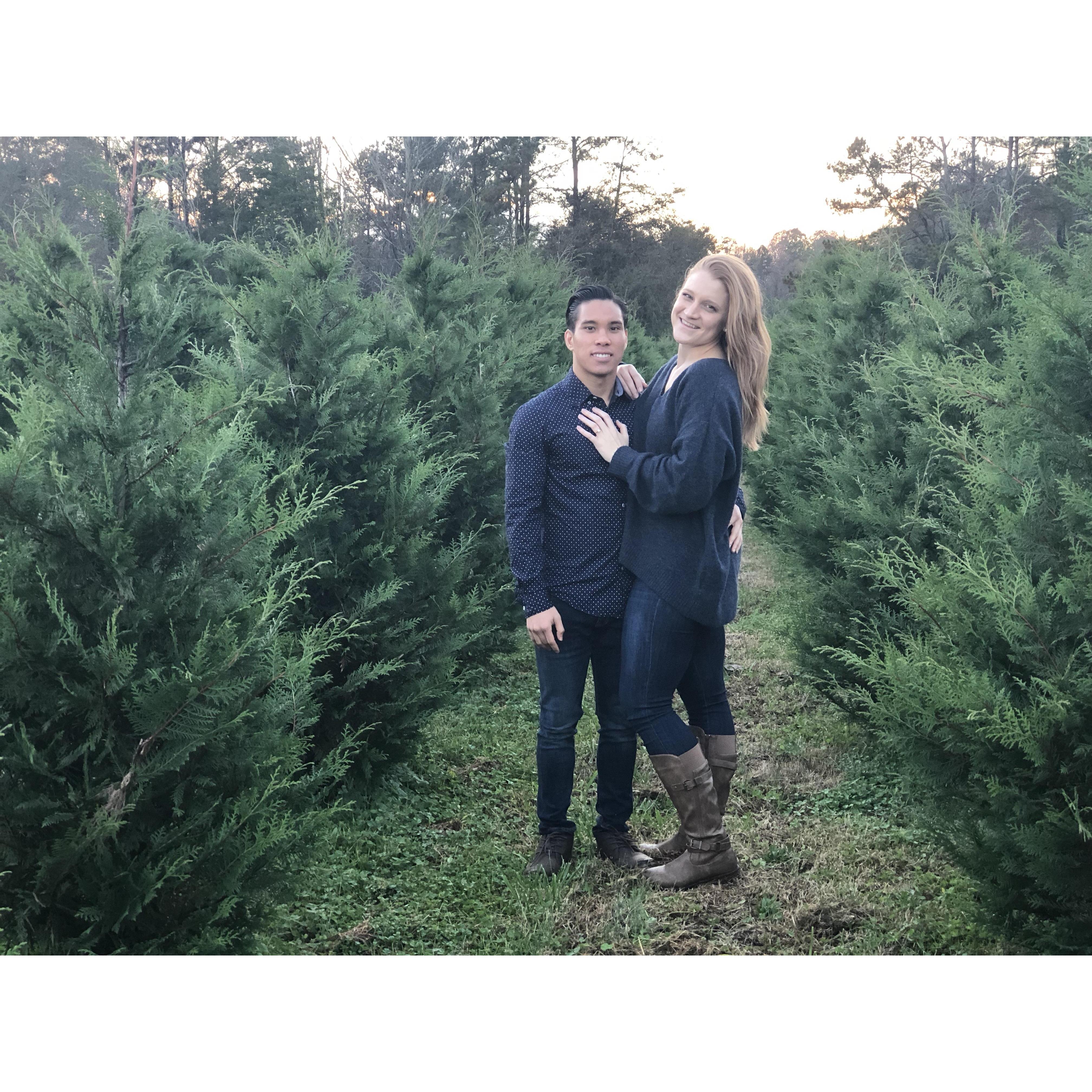 Picking out a Christmas Tree & taking Engagement Photos for our first Christmas Card!