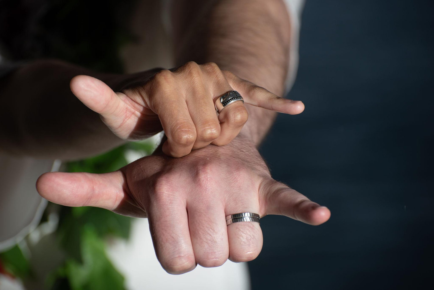 The Wedding Website of Aric Ponce and Beau Cozzi