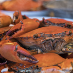 Thames Street Oyster House