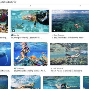 Snorkeling Trip on our Honeymoon!