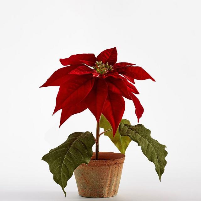 Faux Potted Poinsettias, Small, Set of 2 - Red