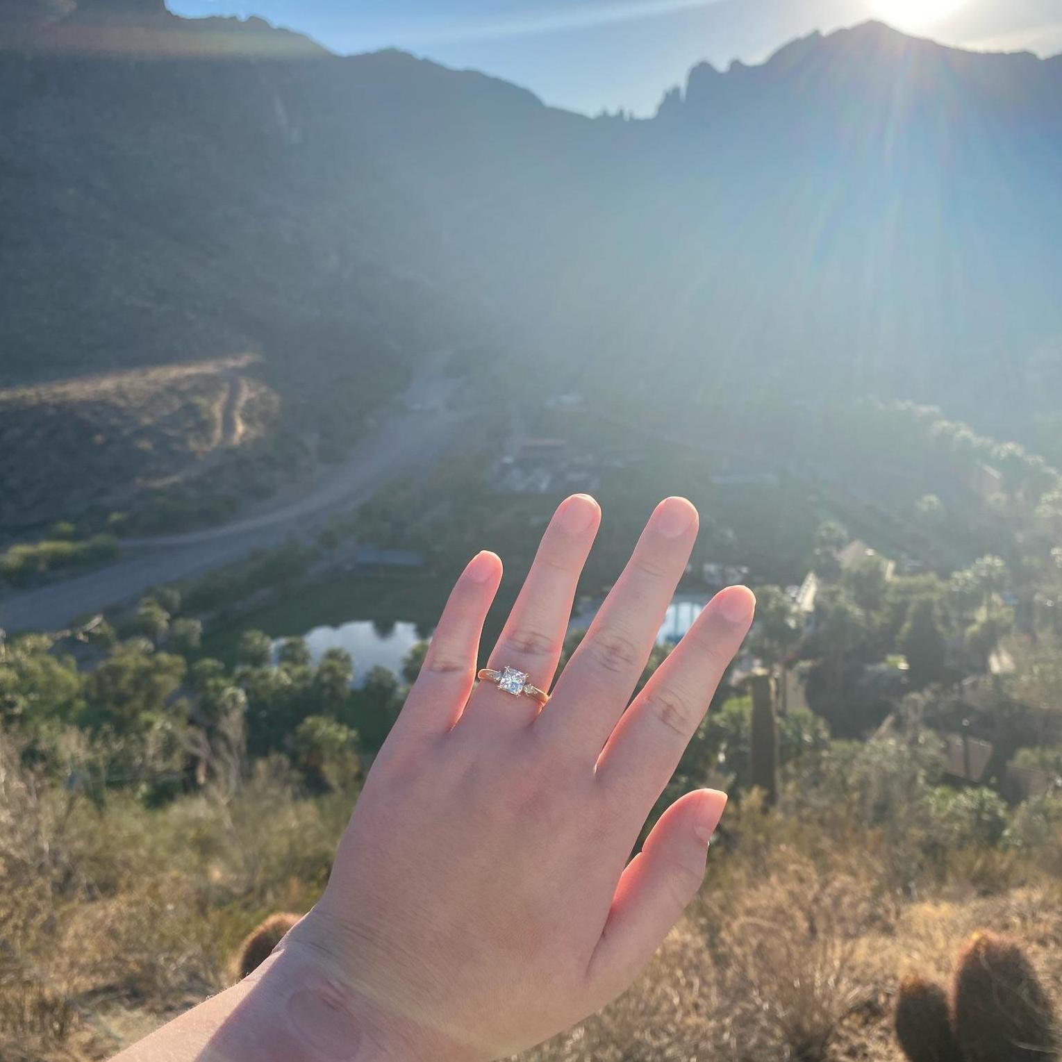 The view from the engagement "walk"