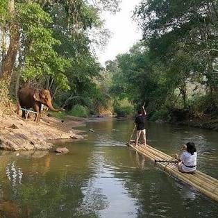 Mae Wang Bamboo Rafting