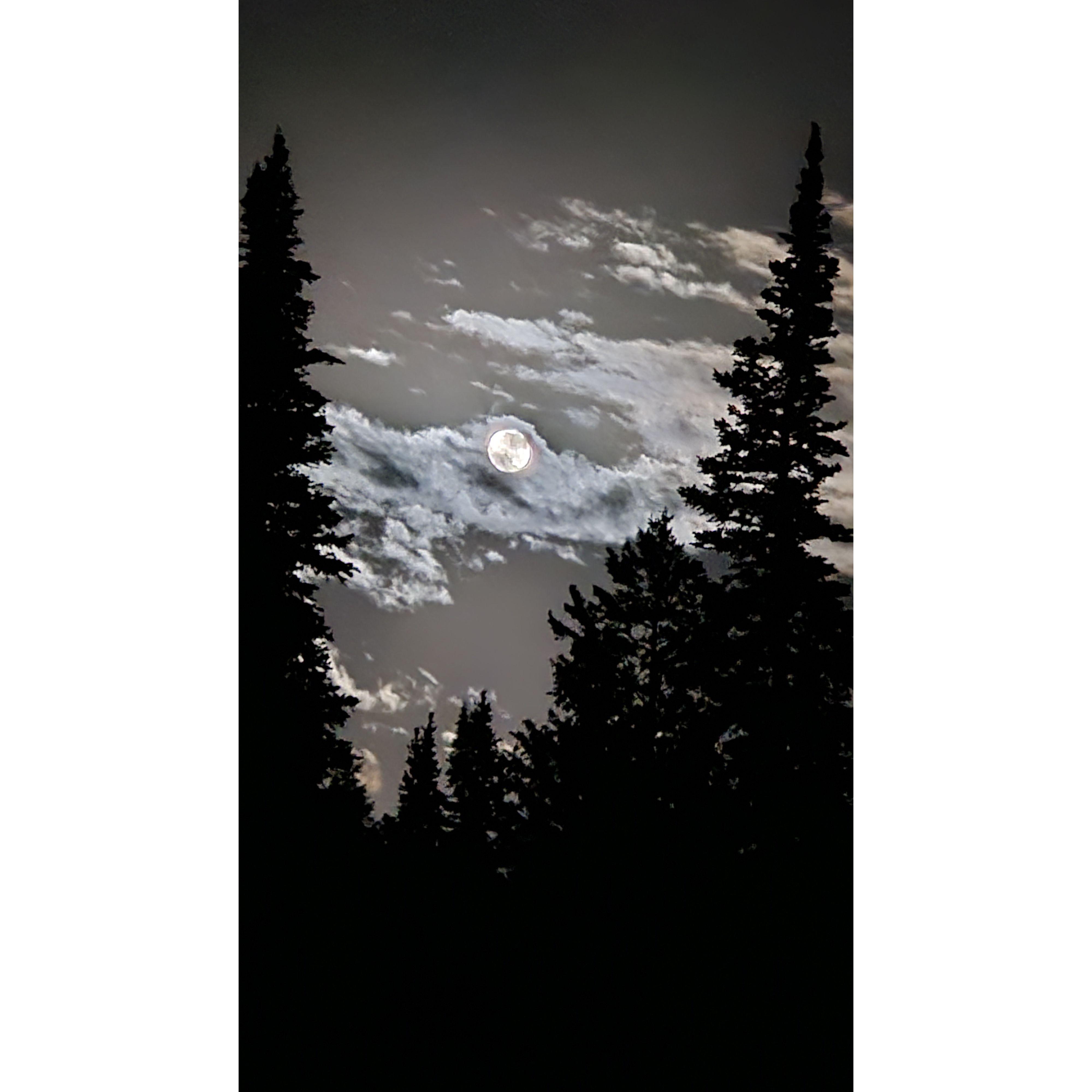 First family reunion, before we were even married!