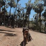 Balboa Park