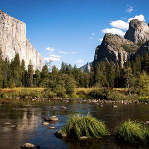 Yosemite Wedding Trip