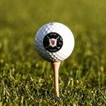 The Pfau Course at Indiana University