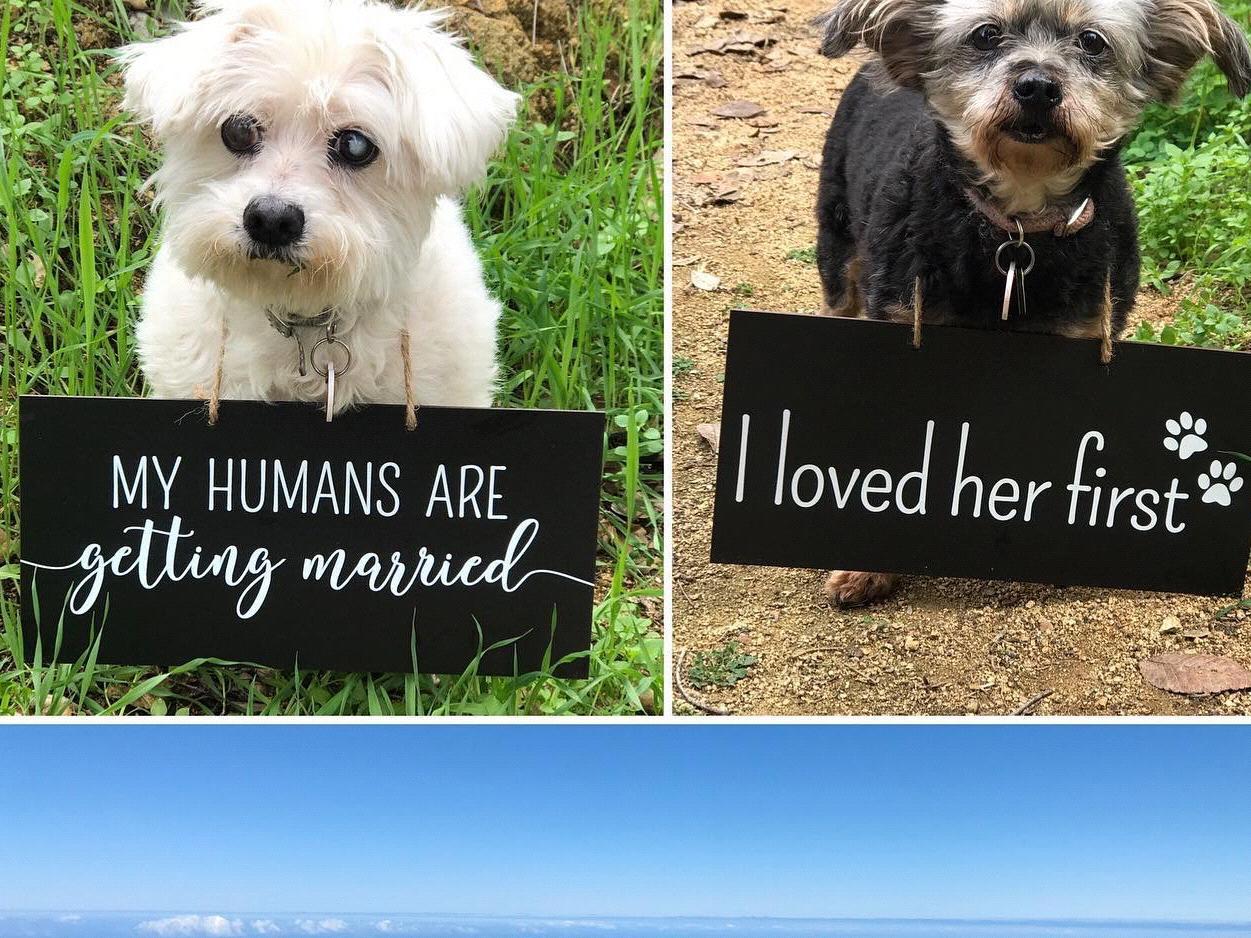 The Wedding Website of Annie Nuttall and Michael Foodman