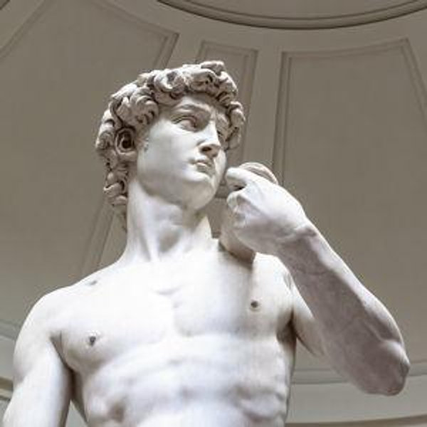 Uffizi Gallery + Accademia Tickets