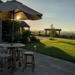 Colene Clemens Vineyards