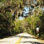 Ormond Scenic Loop & Trail