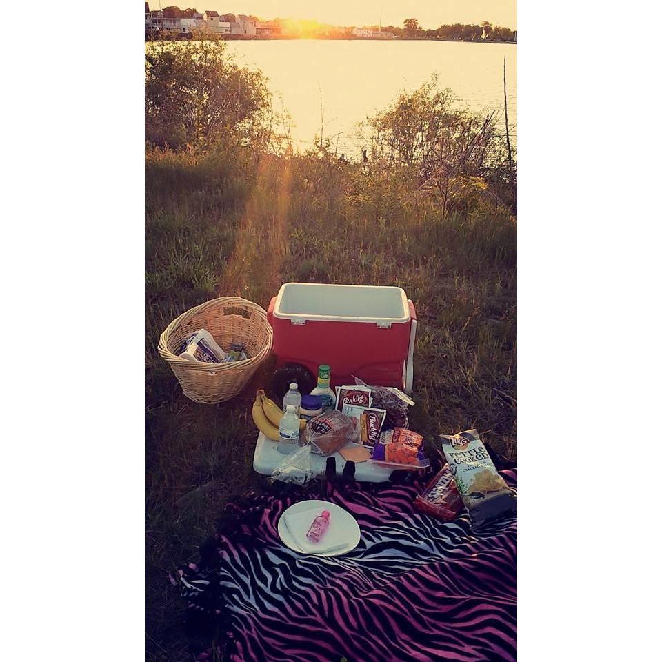 Our first date at cedar point; this was the picnic we had afterwards and had our first kiss!