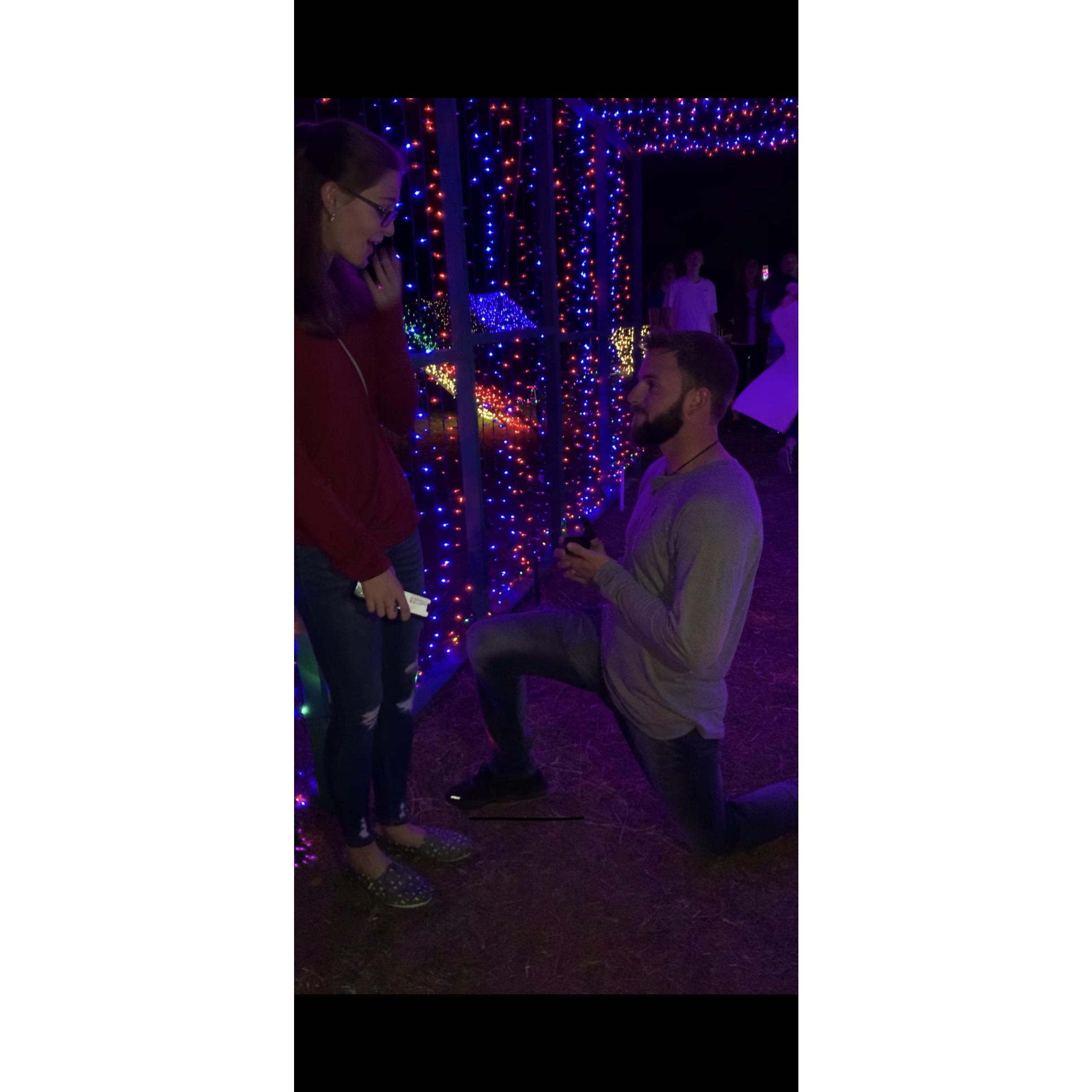 "Are you serious??" 7x. lol
Also, I had the box upside down and she couldn't even see the ring.