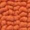 Tropical Orange