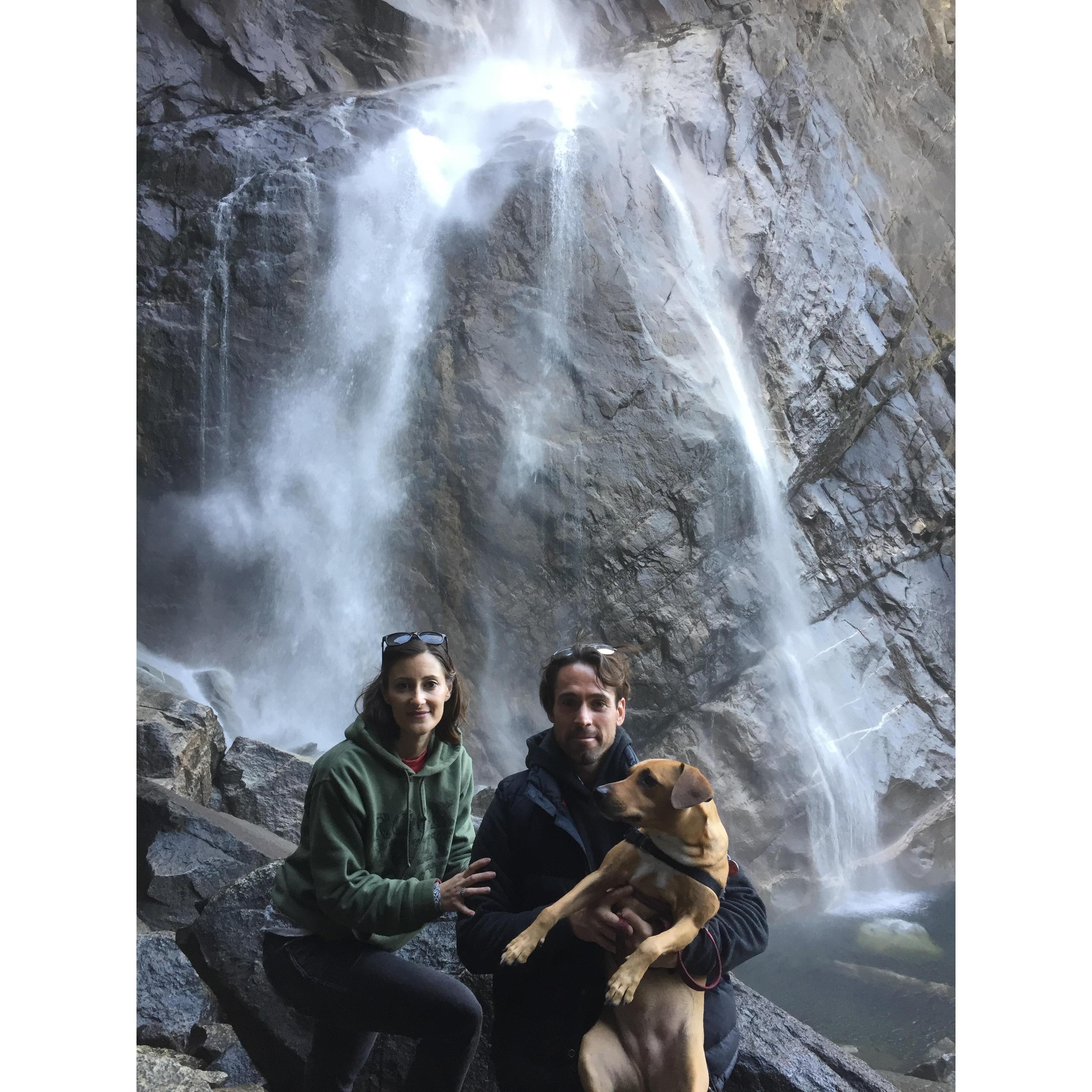 Hiking with Presley in Yosemite