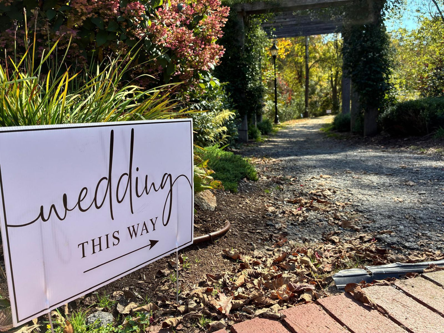 The Wedding Website of Rachel Feins and Troy Jollimore