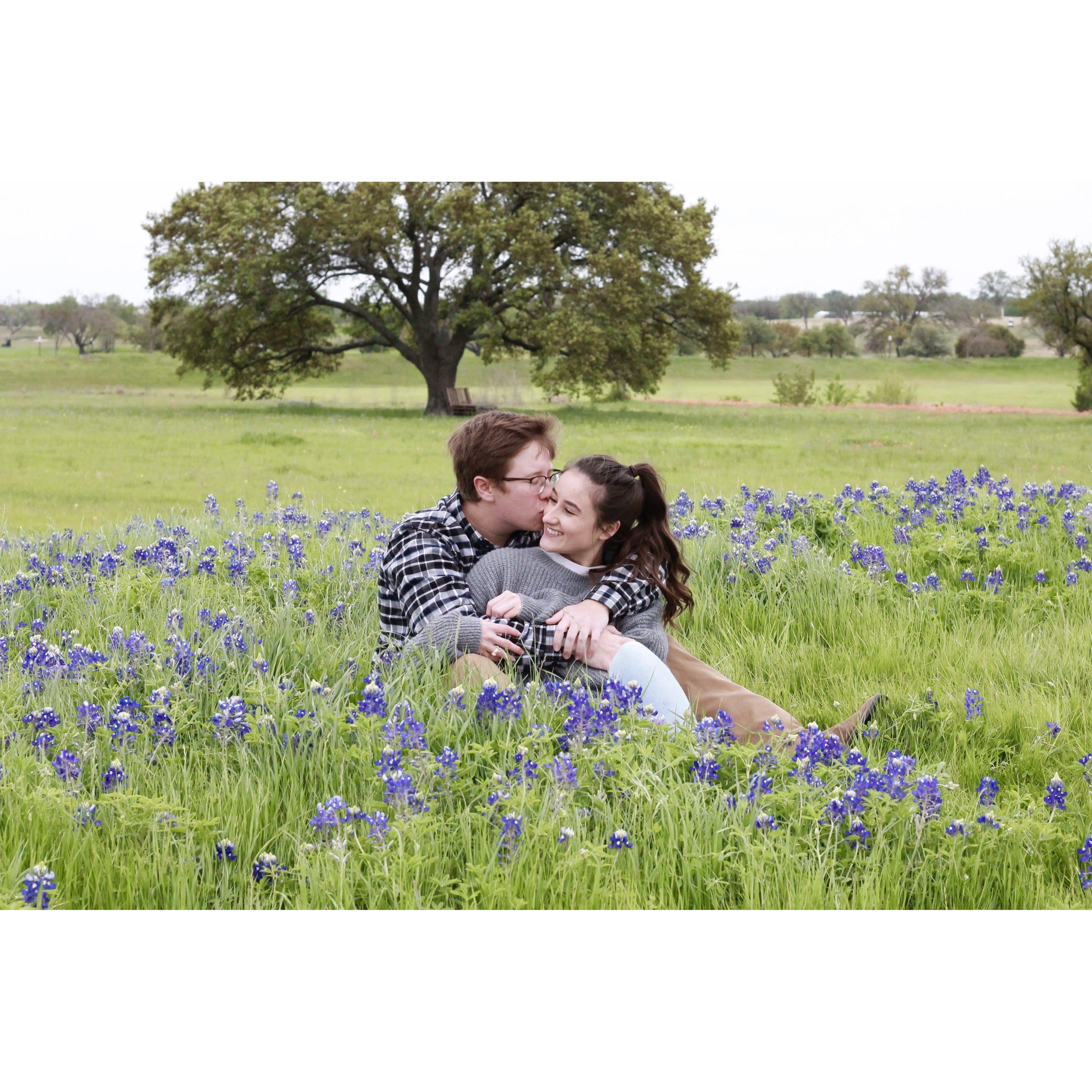 Cstat bluebonnets