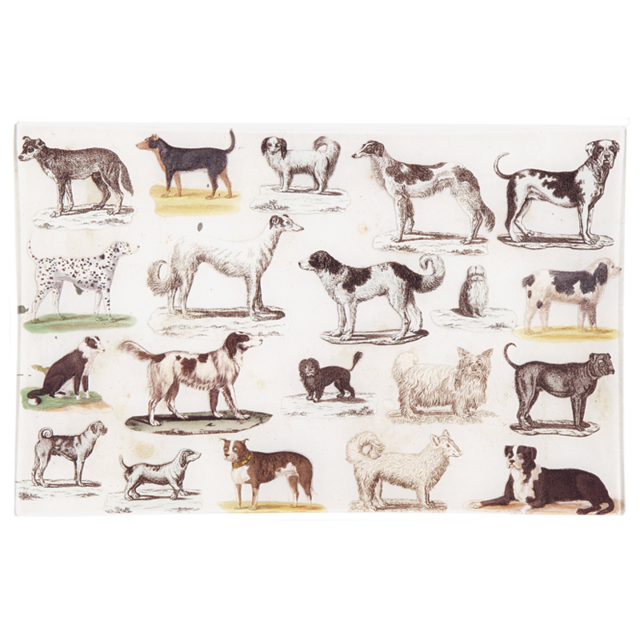 Dog Run Letter Tray