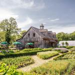Beach Plum Farm