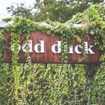 Odd Duck