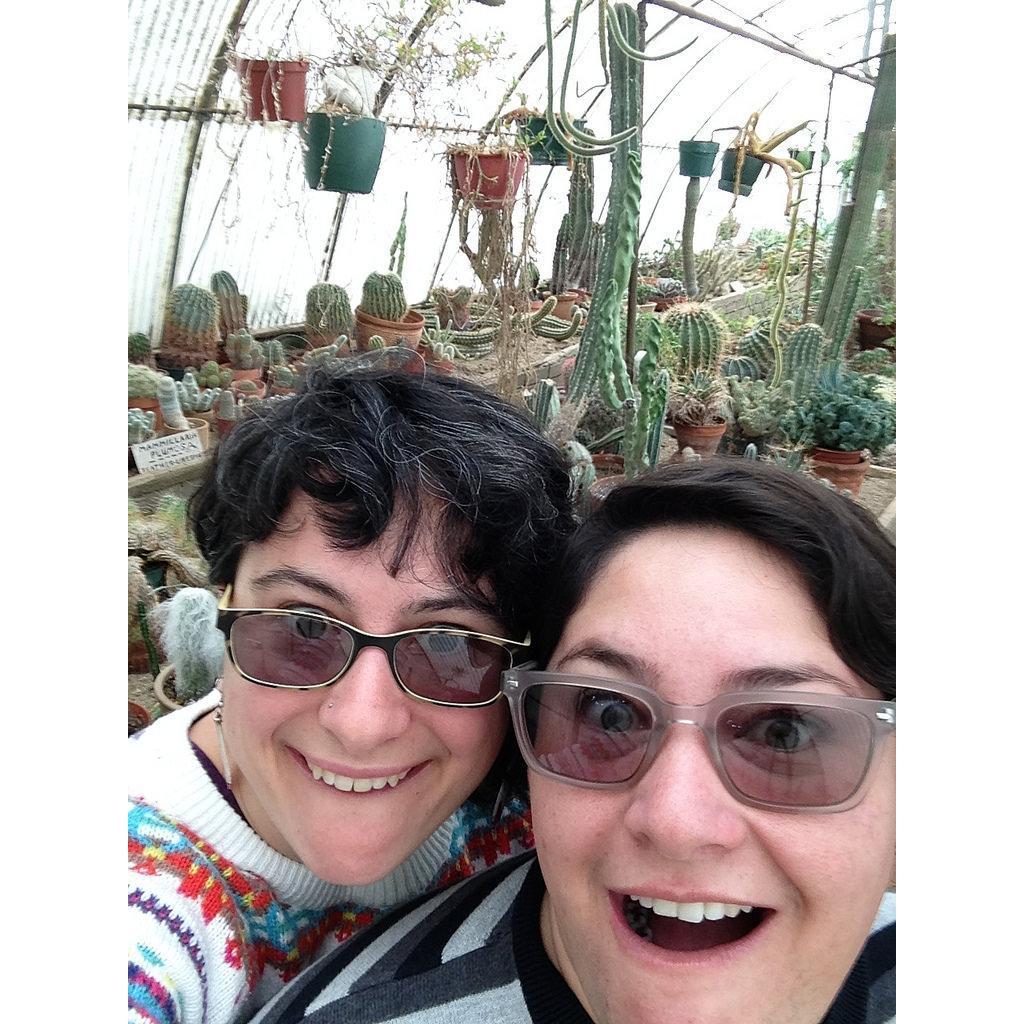 So many cacti!